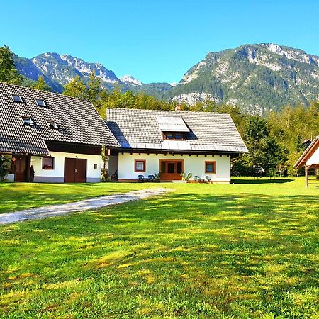 Apartmaji Zupanc Ivanka Bohinji-tó Kültér fotó